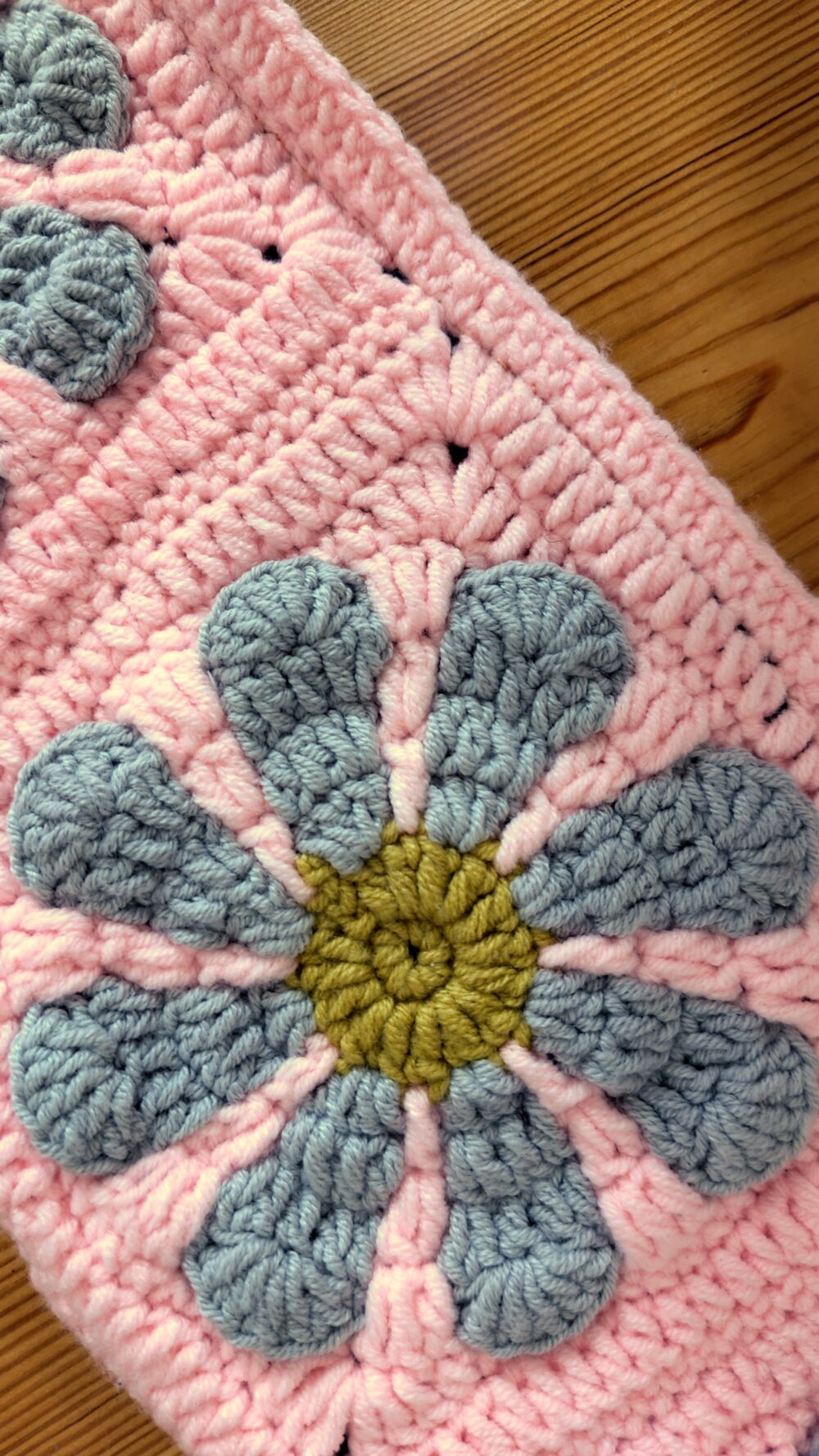 IMG_20251201_132836 Regrow the Flowers Pack